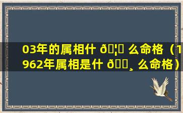 03年的属相什 🦈 么命格（1962年属相是什 🕸 么命格）